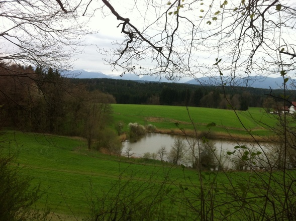 Ein herrlicher Weitblick bietet sich bei Armeleiten auf die Alpenkette und das Voralpenland.