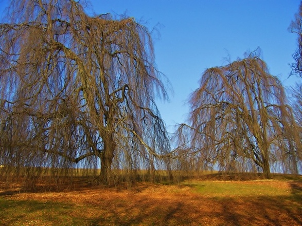Parkanlage Höhenried