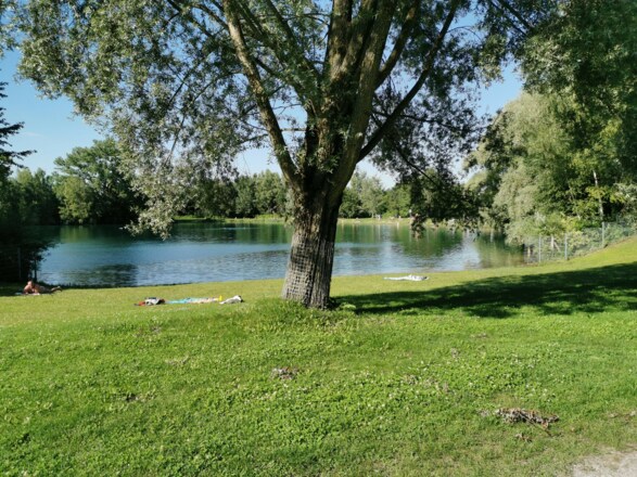 Birkensee
