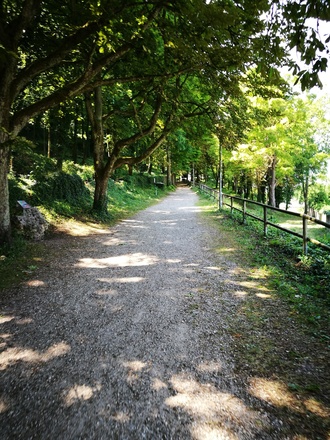 On the way to the Willibaldsburg