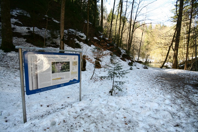 Infotafel zum Molasseprofil