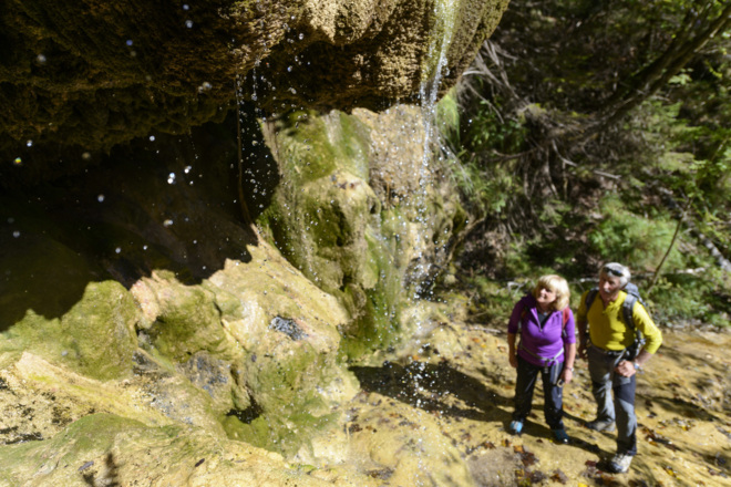 Die einzigartigen Kalk-Sinterterrassen an den Hängen zwischen Ammerschlucht und Kalkofensteg.