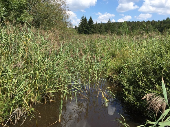 Deininger Weiher im Süden