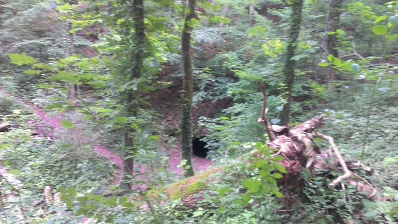 Cave near Frauenberg