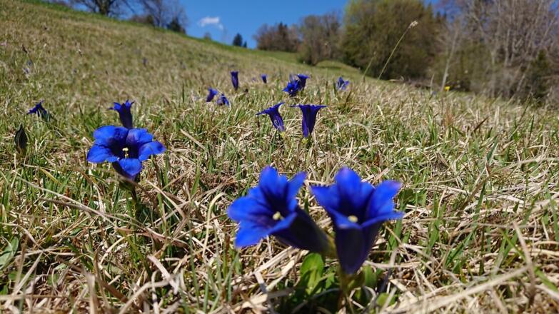 Bio-Marxhof, Böbing
