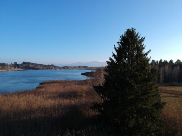 Haslacher See bei Bernbeuren