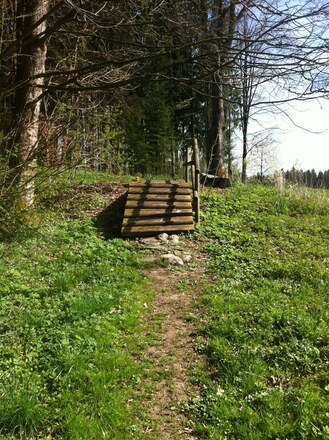Ochsenklavierbrücke am Waldrand
