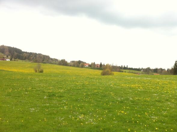 Weitblick auf das Weiler Leithen