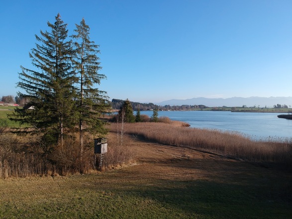 Haslacher See bei Bernbeuren
