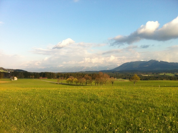 Alpenpanorama bei Schönegg