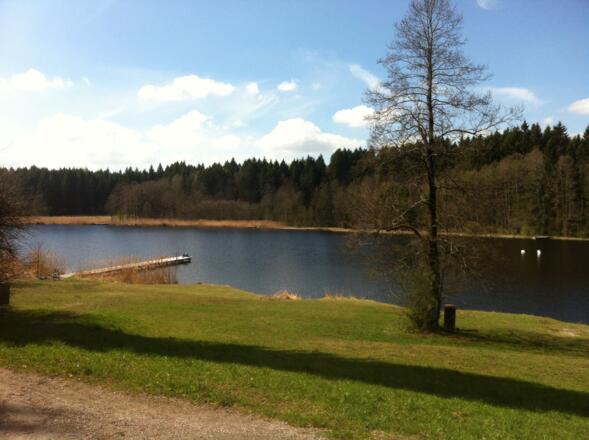 Badeufer des Alten Weihers