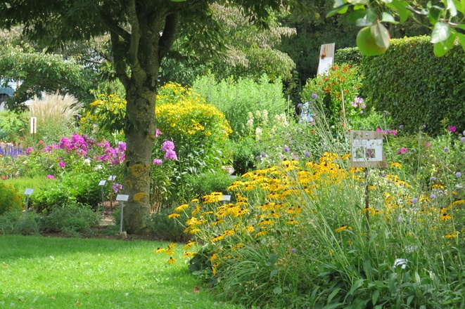 Sommer im Schaugarten in Seeshaupt