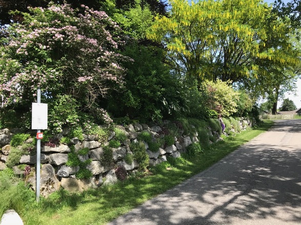 Garten der ehemalige St.-Lorenz-Kirche in Altenstadt
