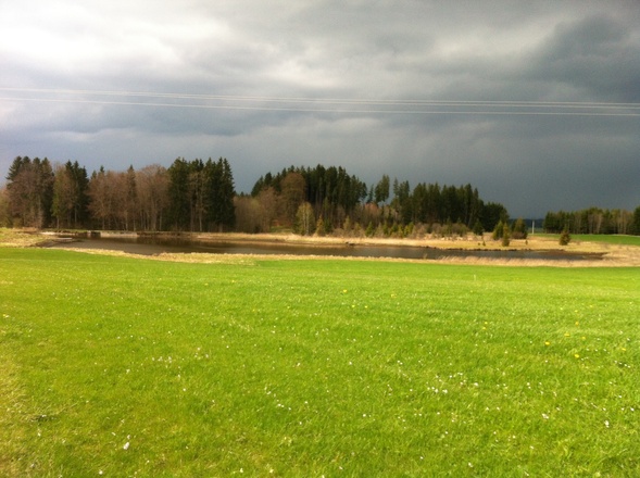 Der Badweiher bei Steingaden
