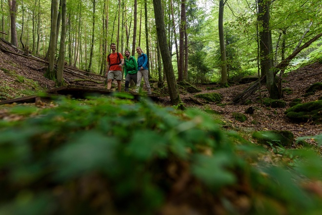 auf dem "Alten Schulweg" hoch zur Geißhöhe