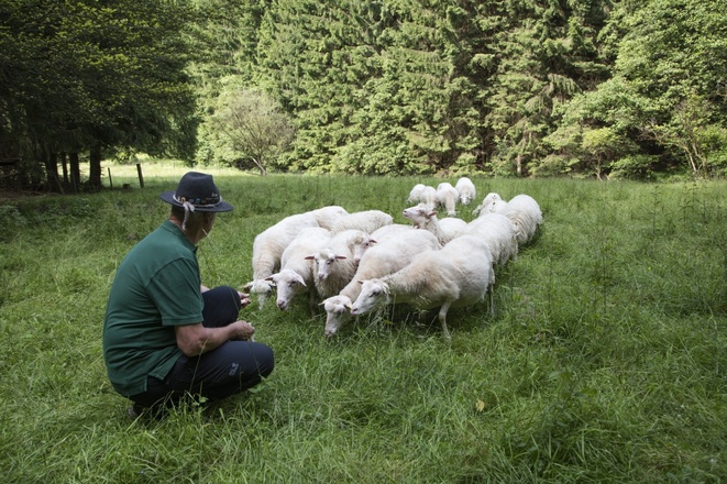 Grünlandprojekt mit Ernst Bilz in Mespelbrunn