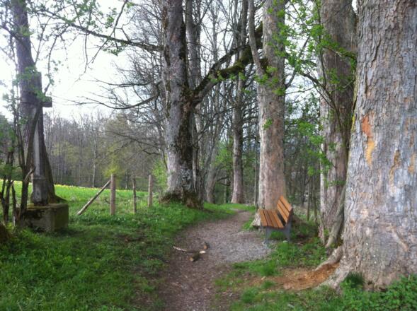 Wegkreuz am Gagräsgraben