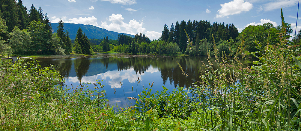 Fronreitner See