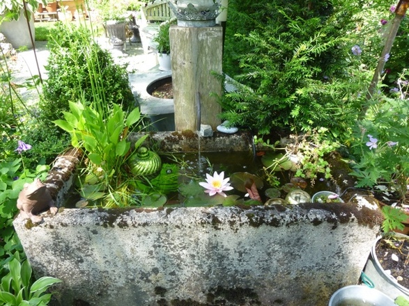 Leimbachs kleine Gartenwelt