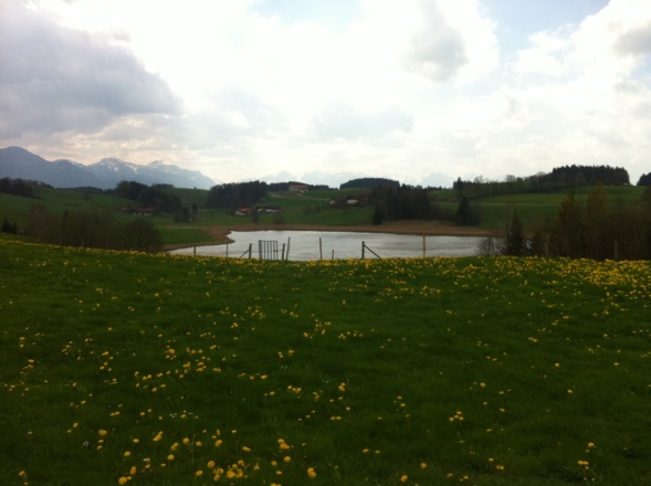 Biberschwöller See in der schönen pfaffenwinkler Landschaft