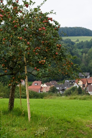 Blick auf Dammbach, oberhalb des Maria Stern Platzes
