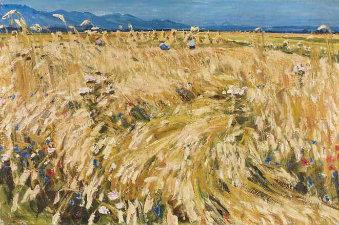 Arnold Balwé | Reifes Feld