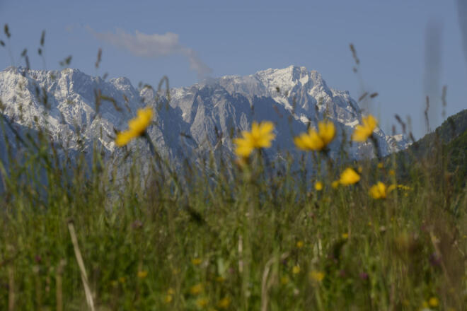 Blick Richtung Wettersteingebirge