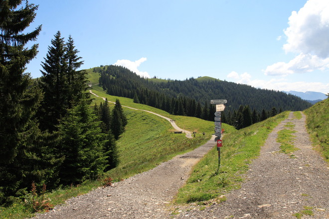 Wanderung - Hörnle-Alm