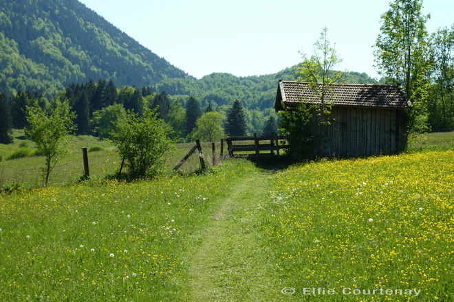 Fernwanderweg - Meditationsweg, 5. Etappe - Fußweg bei Ohlstadt