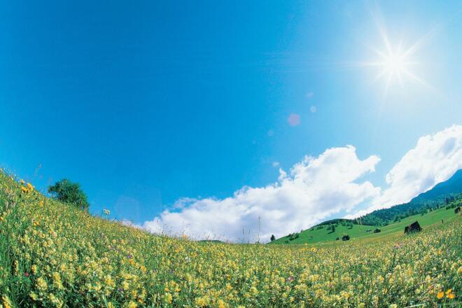 Nordic Walking Haselbach-Trail