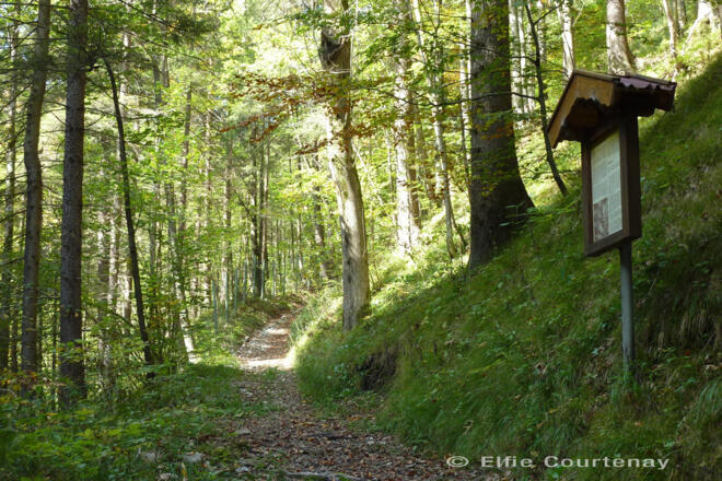 Fernwanderweg - Meditationsweg, 6. Etappe - Alte Kienbergstraße