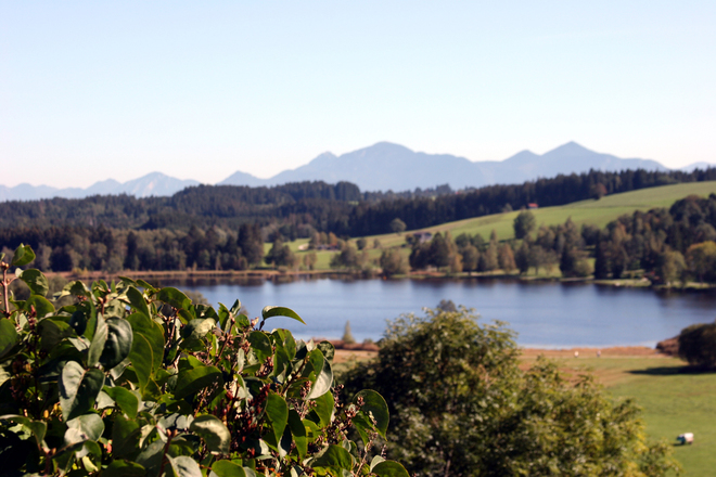 Nordic Walking Haselbach-Trail - Blick auf Soier See