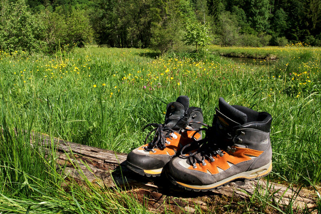 Wanderung - Hörnle-Alm