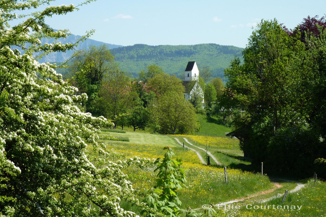 Fernwanderweg - Meditationsweg, 4. Etappe - Blick auf St. Blasius