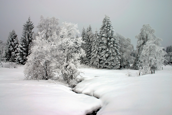 Winterwanderweg Pulvermoos