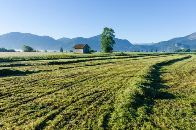 Wanderung - Loisach-Rundweg - landschaftliche Idylle