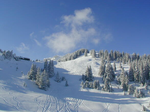 Skitour Pürschlinghaus