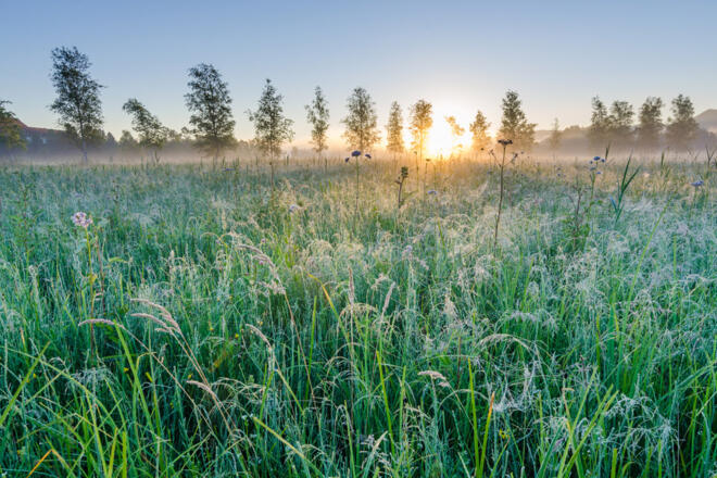 Wanderung - Loisach-Rundweg - Wiesen bei Großweil