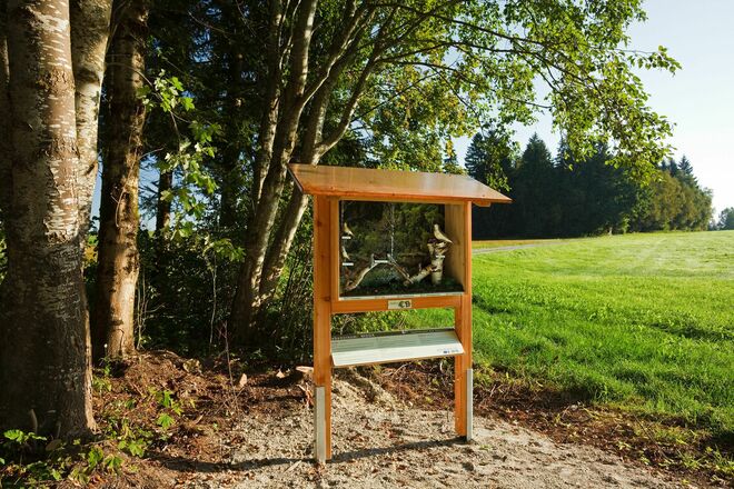 Schaukasten am Vogellehrpfad Bad Bayersoien