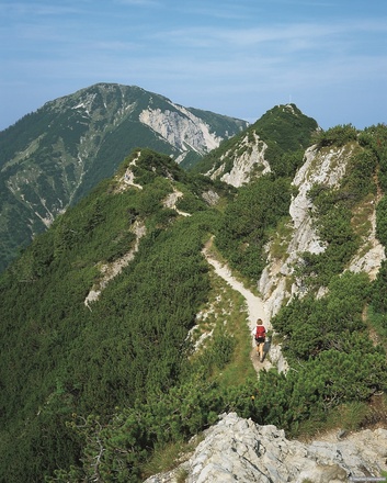 Am Grat zum Heimgarten
