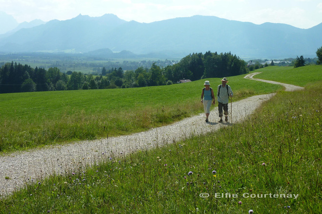 Fernwanderweg - Meditationsweg, 4. Etappe - Am Hagener Höhenweg