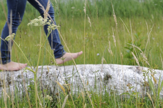 Mit nackten Füssen die Natur erspüren