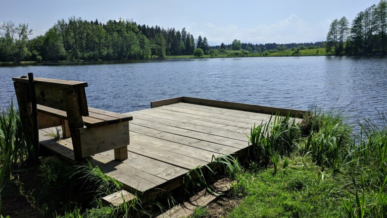 Neuer Weiher in der Nähe von Promberg