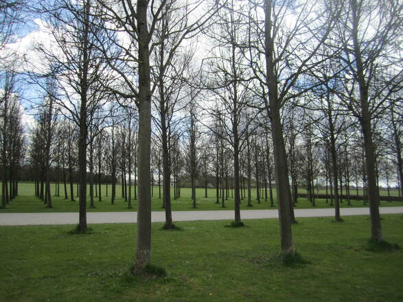 Strenge Geometrie im Riemer Park