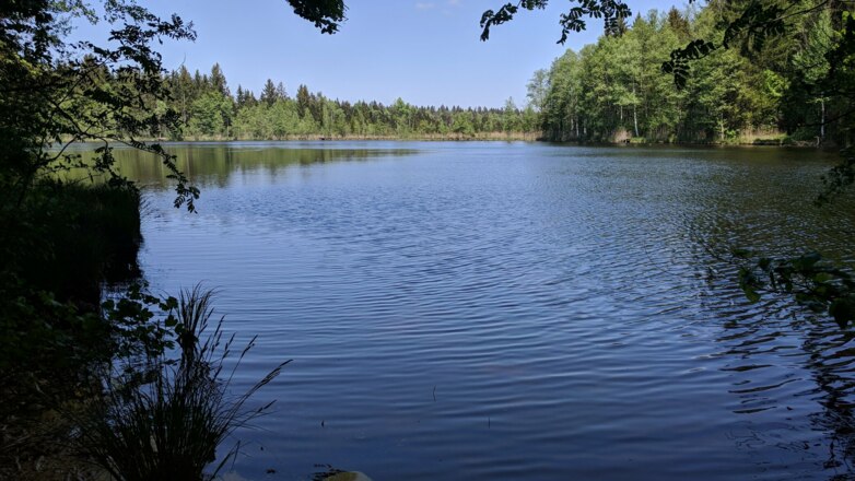 Holzweiher nahe Promberg