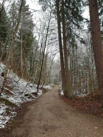 Bergauf Richtung Burg Grünwald