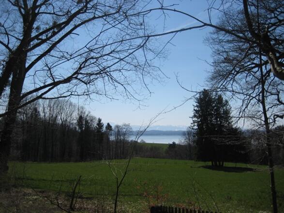 Blick auf den Starnberger See