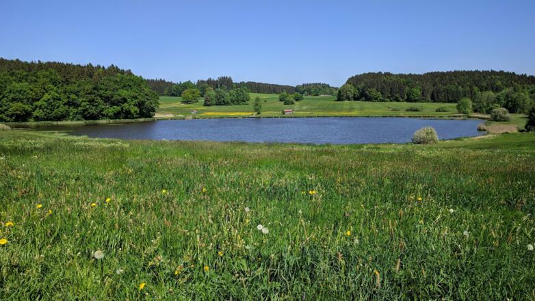 Weiher Sonderham
