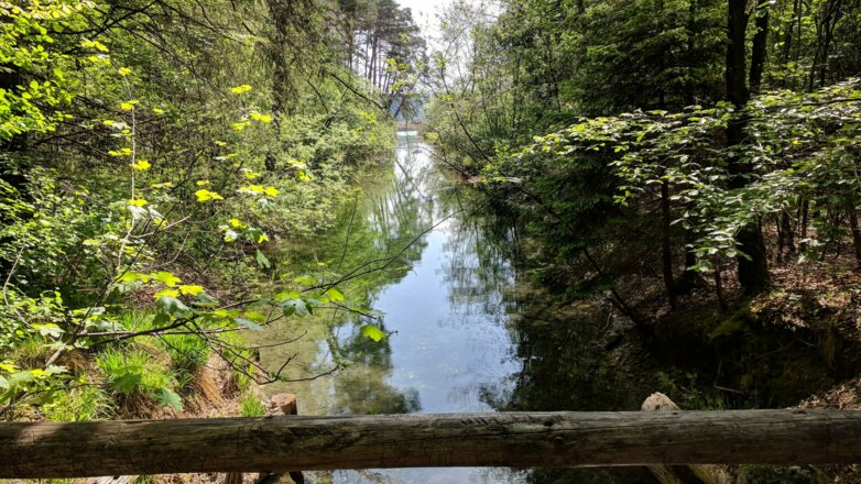 Waldweg bei den Osterseen
