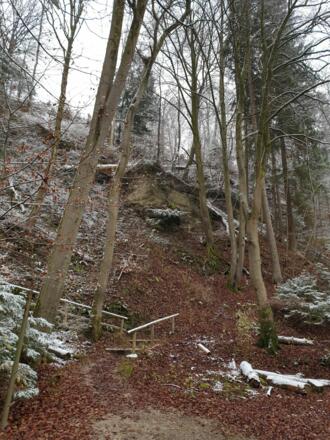 Bergauf Richtung Burg Grünwald